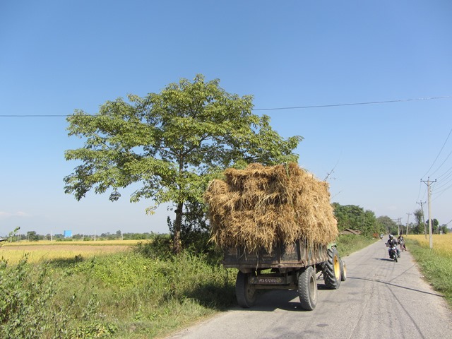 Harvest - Nepal Country Road 11-5-2012